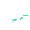 Funny diving evolution