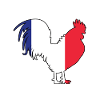 French rooster
