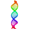 DNA