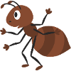 Sweet ant