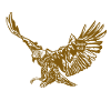 Isaiah 40.31 eagle