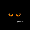 Cat eyes