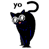Cat cats