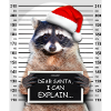 Dear Santa I Can Explain Funny Christmas Wasc