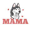 Husky sibérien millésimé