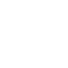 skull skull bone rock