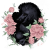 black poodle