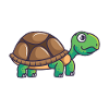 Land tortoise turtle pet