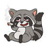 Raccoon Raccoon Stoner Raccoon