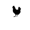 T-SHIRT Poulet et Lune