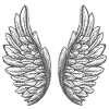 wing