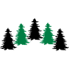 trees forest