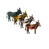 Donkey animals