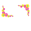 Bunte Blumen weißer Rahmen