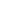 Kieselalge/heilige Geometrie/Fibonacci Spiraleweiß
