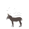Donkey - Donkey Mom