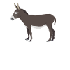 Donkey - Chuchoteur d’âne