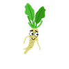 Radish Funny Vegetables Healthy Nature