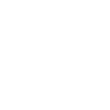 Evolution Bagger