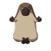 Platypus Meditate