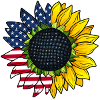 American Sunflower