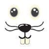 Mouse face