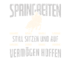Springreiter