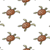 Turtle pattern