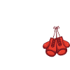 Boxing - boxing boxing gloves