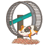Hamsterrad Hamster Goldhamster