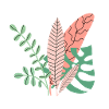 Tropical leaves