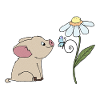 Pig and butterfly