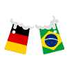 GERMANY BRAZIL BEER FLAGGEN