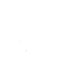 Bulls White