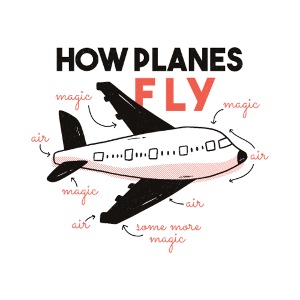 How planes fly