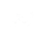 Dogo Argentino