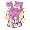 pig