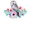 Bird Owl