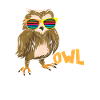 Owl right