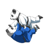 Panda bears at BJJ training