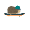 skateboard Skater Igel