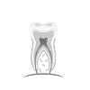 dentist