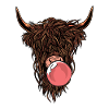 Cow buffalo with chewing gum