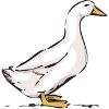 Gans