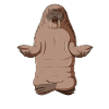 Walrus Meditate