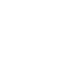 skull crown white