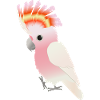 Inka cockatoo digital drawing