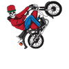 Simson Wheelie