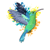 Birds animals