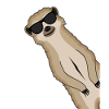 Meerkat sunglasses funny gift animals